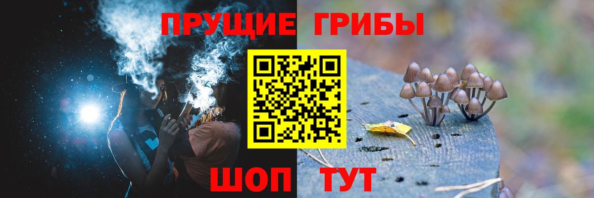 Нижний Тагил  Галлюциногенные грибы мухоморы  Вход с VPN 